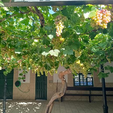 Casa Rural La Del Alba Seria Argamasilla de Alba エクステリア 写真